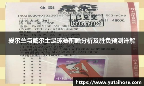 爱尔兰与威尔士足球赛前瞻分析及胜负预测详解