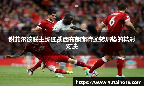 谢菲尔德联主场迎战西布朗期待逆转局势的精彩对决